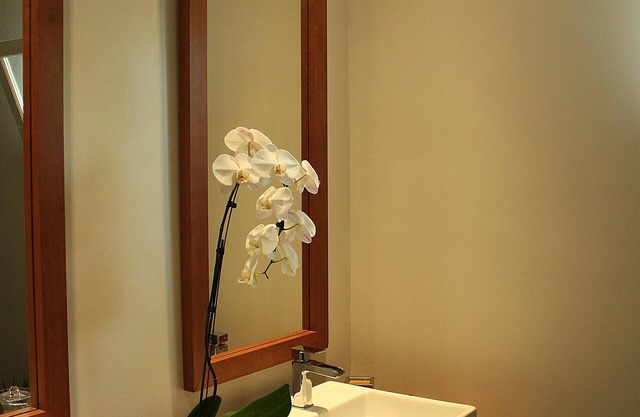 Rooms with Creole charm