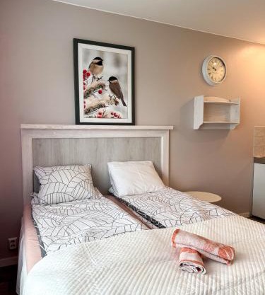 Rovaniemi City Stay Walk to Everything