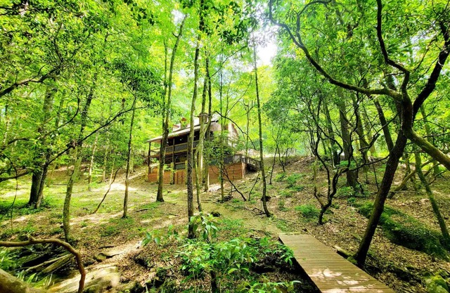 Ruhewald Cabin - Hot Tub, 3 Creeks w/Waterfalls, Remote