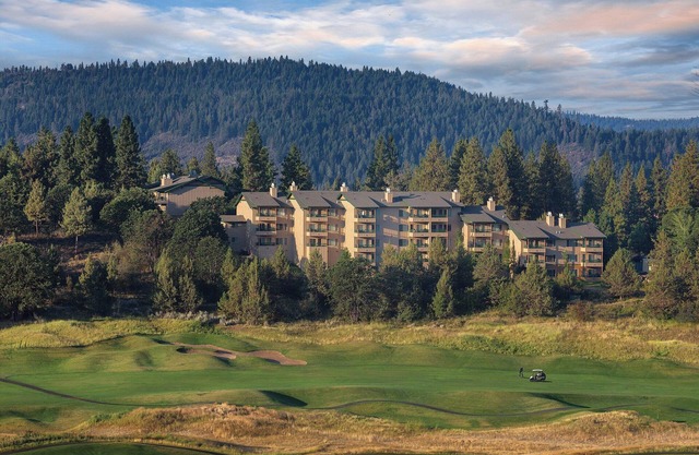 Running Y! Breathtaking Mountain Views