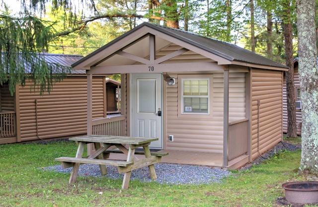 Rustic Cabin 73 w/4 Beds