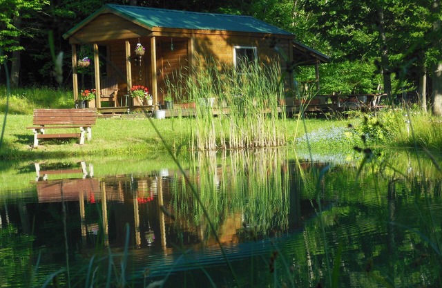 Rustic cabin, solarpower, heated, hiking, 3ponds,wildlife, dark skies/stargazing