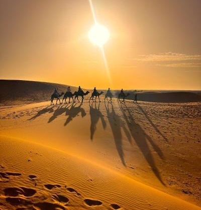 Sahara Luxe Camp