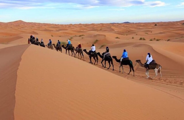 Saharian Luxury Camp
