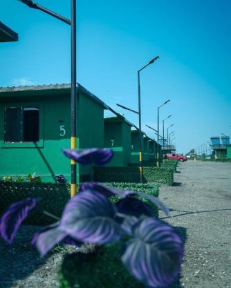 Sax Camping Costinesti