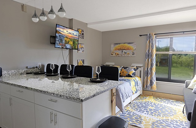 SC 2204 Completely Renovated Studio, Bright Winter Escape!