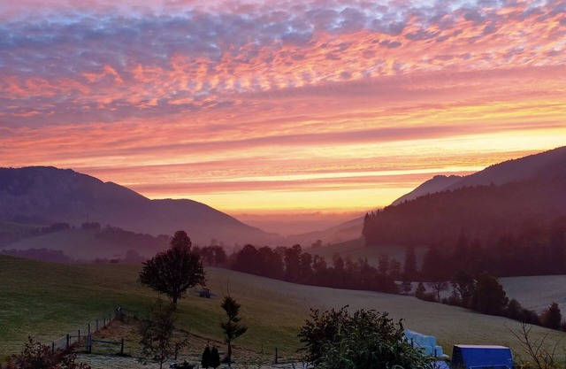 Schafmatthof attic flat