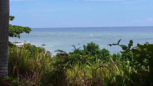 SeaCastles Beach Apartments