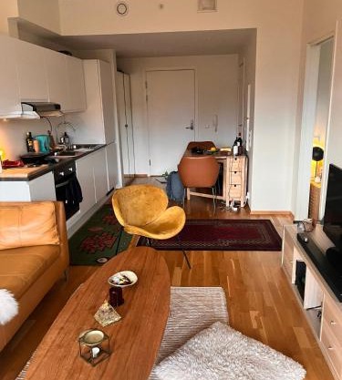 Seagull Holiday& Businnes Apartment