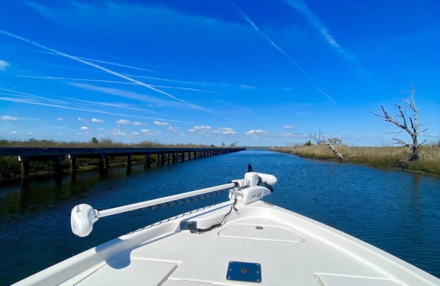 “Seas The Day” 3 Min walk to beach, NC Wildlife Boat Ramp & Park across street