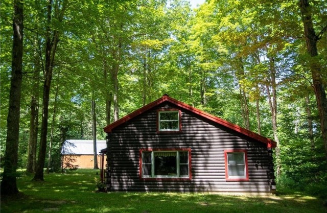 Secluded Log Cabin with walking trails in Howard NY -New in 2023-