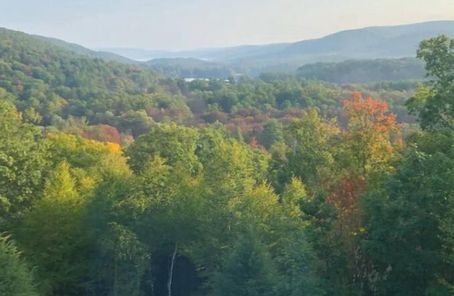 Secluded Mountain and Lake View in Canaan, NY