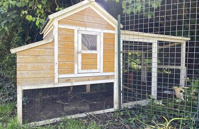 Secluded old house, private garden, pets welcome