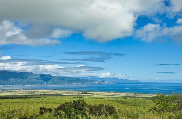 Sensational View - Central Location - Clean and Cozy