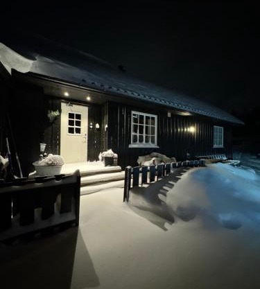Sentralt Geilo
