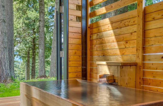 Serene mountain-view cabin with geothermal hot tub, indoor steam sauna & deck