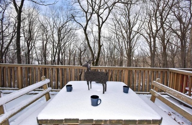 Seven Springs 4 BR Deluxe Townhouse, Sleeps 11! by RedAwning