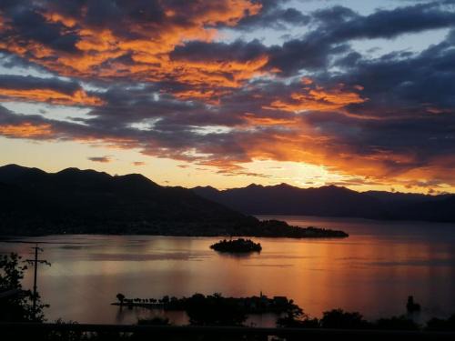 Shambala Home Loft Sole