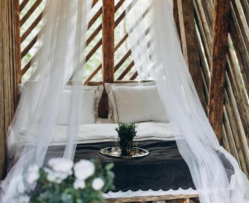 Shed Experience Outdoor