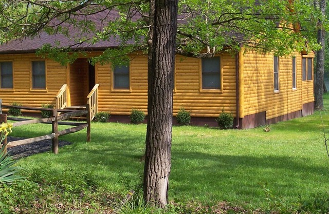 Shenandaoh Dreaming Riverfront Log Cabin - LIFE IS GREAT ON THE RIVER!