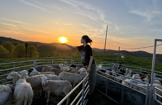 Shepherd’s View: A spacious House in Duck, WV. Now equipped with Starlink.