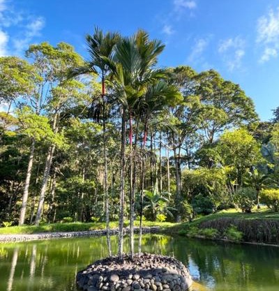 Siquirres Mountain Lodge