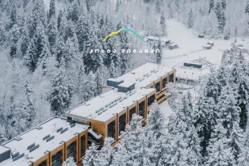 ski in ski out apartment in Kokhta-Mitarbi resort