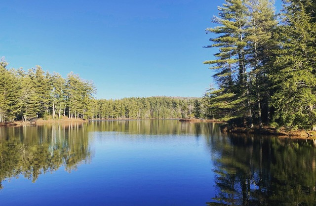 Ski & Lake Home-Minutes from Magic, Stratton, Bromley & Okemo-Southern Vermont