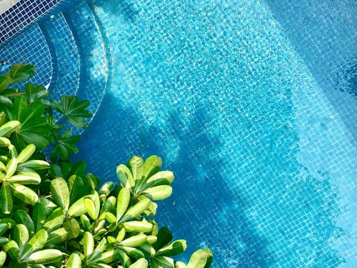 SKY VILLA - BKK Phnom Penh - Rooms & Apartments - FREE LAUNDRY