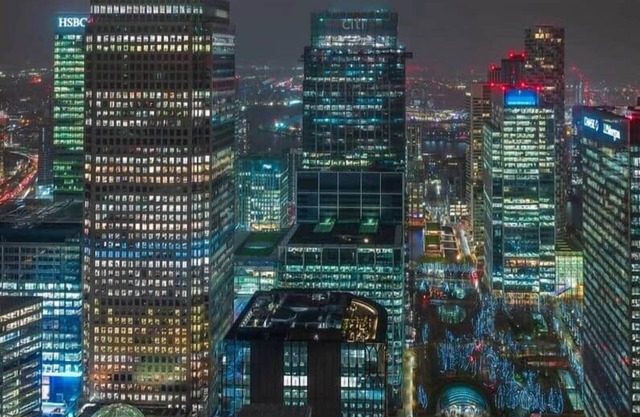 Skyline Oasis