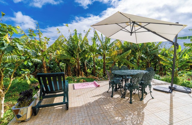 Sleep Among the Bananas: Rustic Cottage with Trails at Your Doorstep