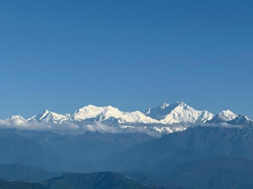 Sleeping Buddha Homestay - Lamahatta