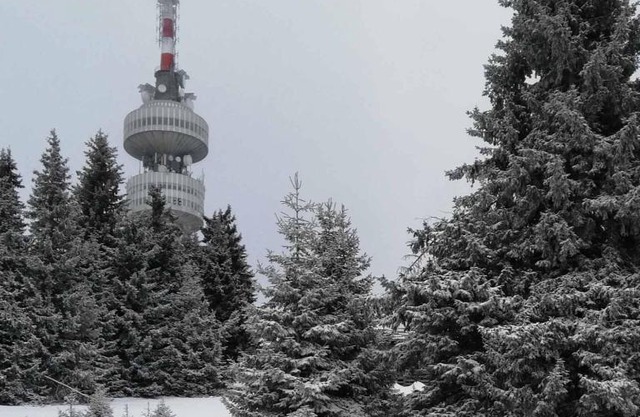 Snowy dreams Pamporovo