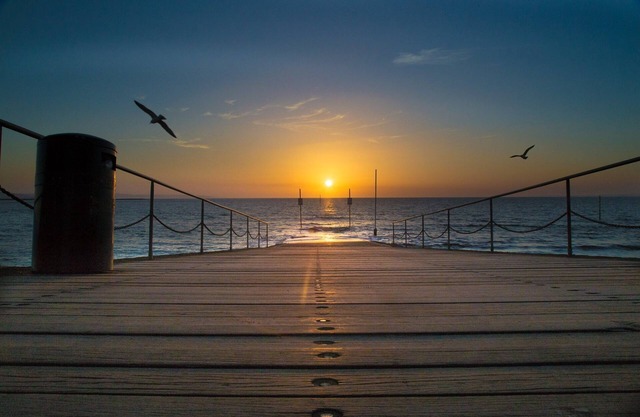 Somerset glamping pod with access to adventure activities.