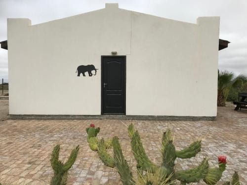 Sophia Dale Base Camp