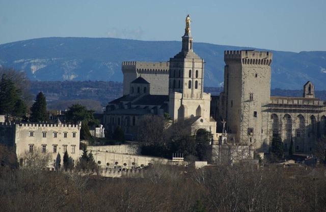 Spacious house of character with pool and views of the Palace of the Popes.