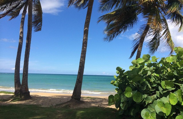 Spacious 3 BDRM apt. just steps from the sand, the pool, the fun and relaxation.
