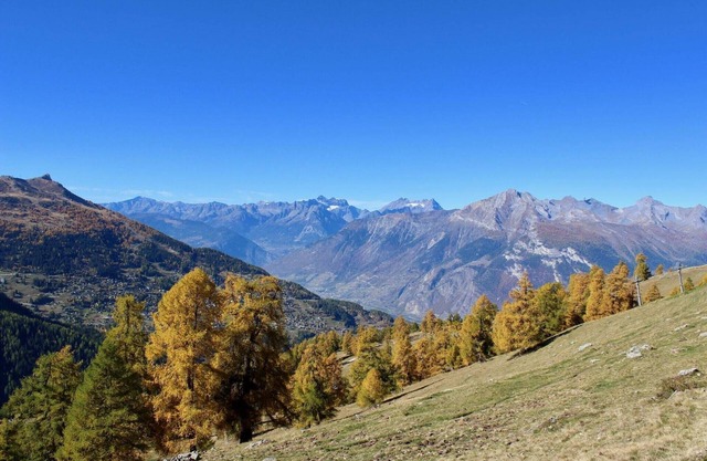 Spacious apartment with balcony