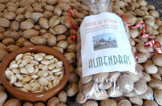 Spacious apartment where you can enjoy a few days in the middle of nature.