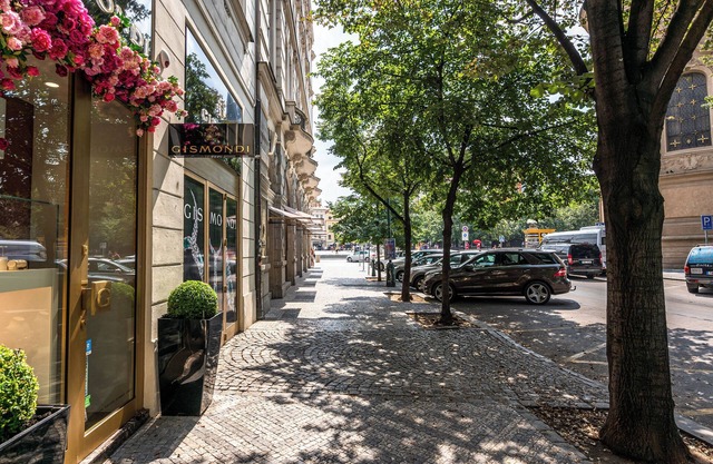 Spacious apartment on the Old Town Square