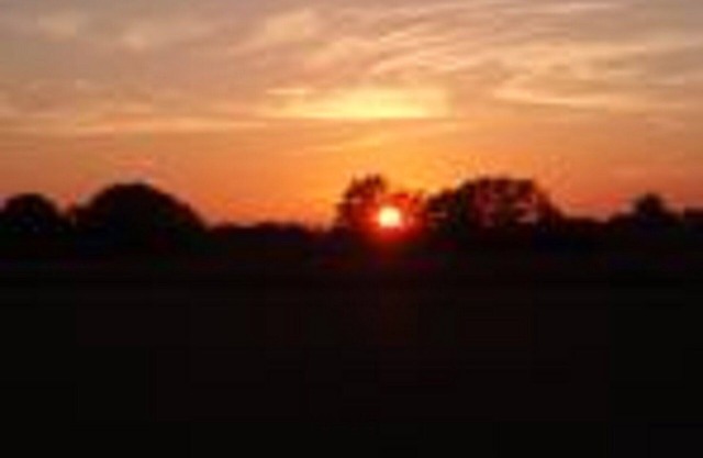 Spacious converted Barn - fully equiped - family friendly Gite sleeps 6 (Lily)