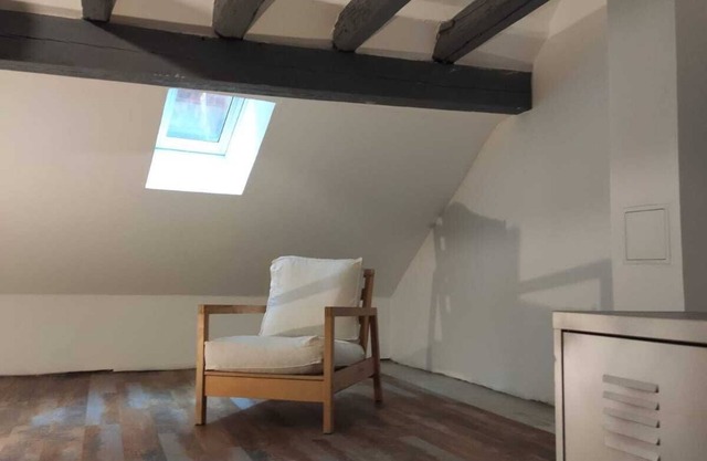 Spacious, fully-equipped, comfortable duplex apartment in Guebwiller