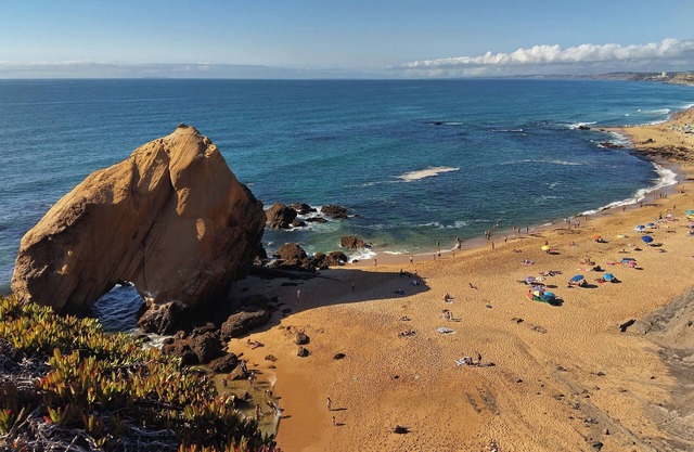 Spacious studio with garden on the Silver Coast