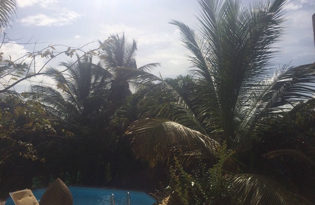 Spacious villa downstairs in mature garden with swimming pool surrounded by greenery