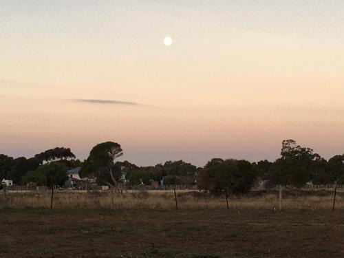 Spirit of Tasmania Stopover 3 secure DIDO sites SC Motor Homes RVs ONLY! BYO Toilet and bed! Private Hobby Horse Farm Rooms extra