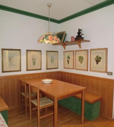 Sport Campiglio Apartment