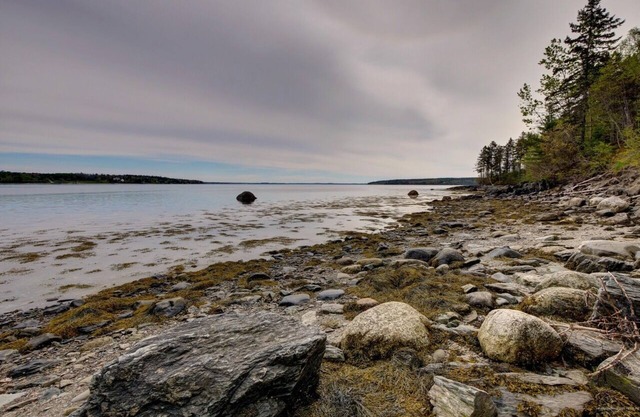 Spruce Chalet at Shore Haven, sleeps 5