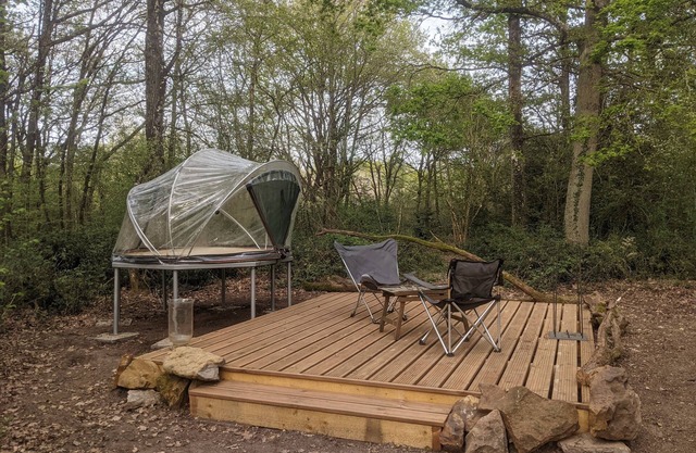 Star dome: Arnette au Thoureil, Maine & Loire