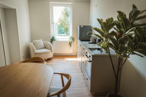 Staylight Apartment in Celle - 3 Schlafzimmer, zentrale Lage am Französischen Garten, inkl Parkplatz, Küche und Kaffee