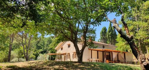 Stirpe nel Bosco - Allocco